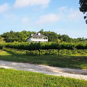 4R Ranch Vineyards & Winery Camping