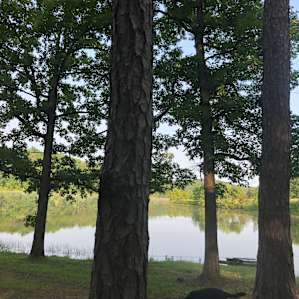 Campsites Spring Lake Ranch
