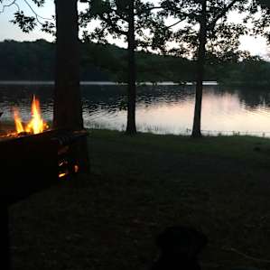 Campsites Spring Lake Ranch