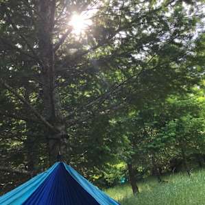 Relaxing in the hammock after the bike ride.
