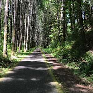 Venonia-Banks trail