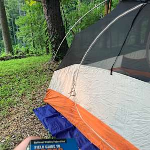 Campsite 3