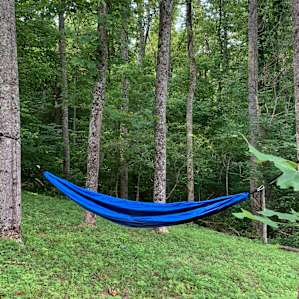 Hammock