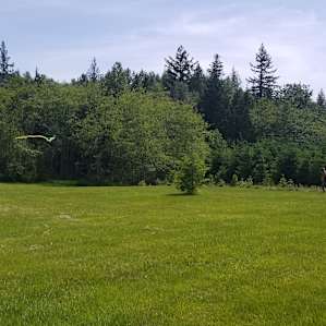 Hidden Meadow Retreat