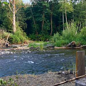 Tranquil Acres