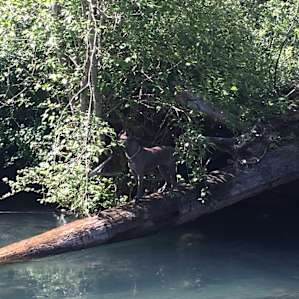 Tranquil Acres