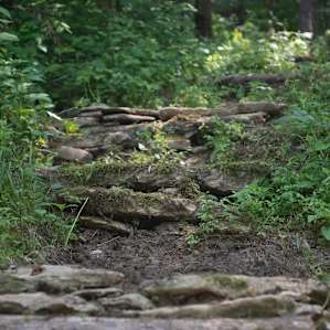 Short cut through the woods to the top of "Big Hill."