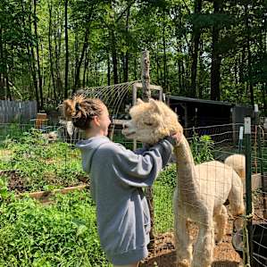 Homer, one of the Alpacas. Very friendly and made my daughters day.