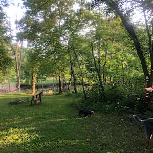 The secluded site