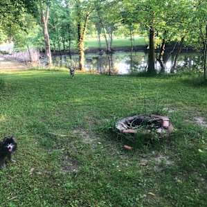 The secluded site