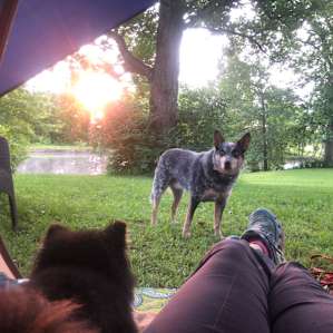 Morning at the campground