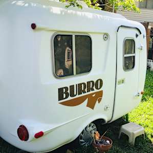Hart Farm Burro ~ Slice of Heaven