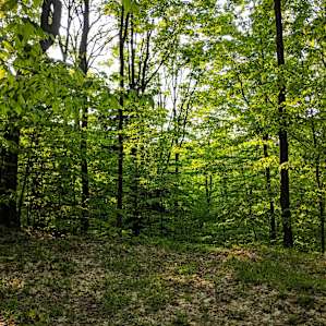 Echo Valley Backcounty Camp