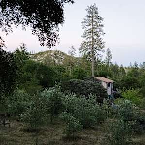 The view from the cave