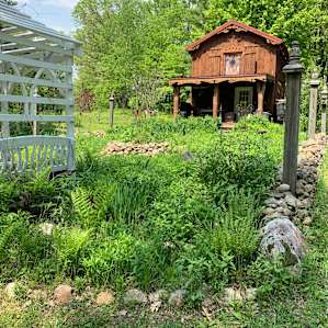Beautiful Wilderness Cabin