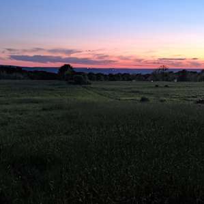Secluded Hilltop Meadow on Farm