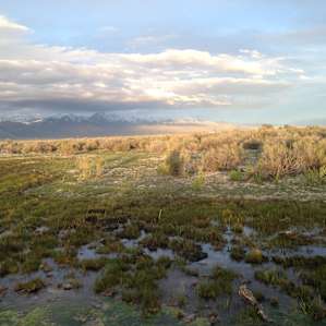 Colorado Sports Ranch & Refuge