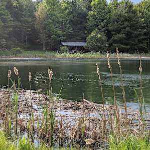 Dun Roamin' Cabin