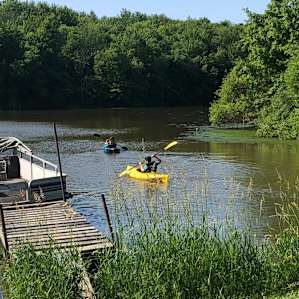Lake and Forest Camping