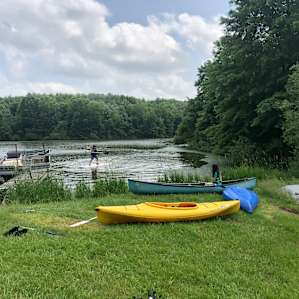 Lake and Forest Camping
