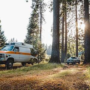 Camp in the forest