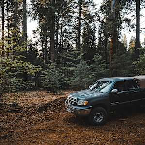 Camp in the forest