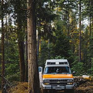 Camp in the forest