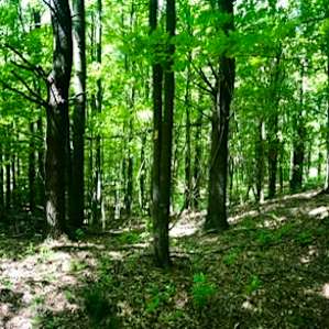 One of the many trails to walk!