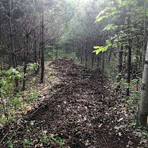 Good walking trails and this one, T-Dog Trail was just blazed. The host are always busy improving the Camp and Experience. Love it!!