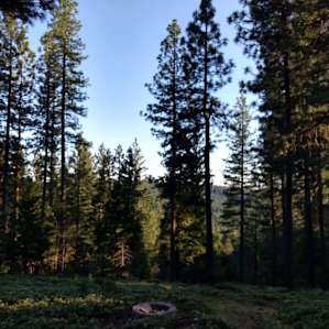 Scenic view