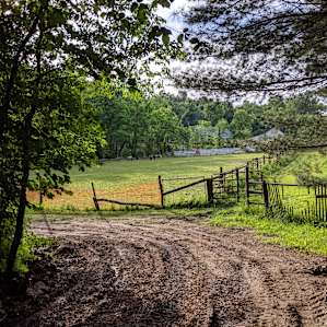 Camp Avery @ Clark Shack Acres