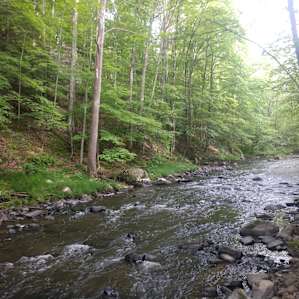 Trestle View Farm