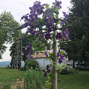 Lovely gardens.