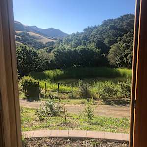 Beautiful Yurt on a Avocado Farm