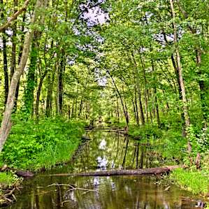 The site has creeks on both sides (one side borders Federal land with part of the Appalachian Trail steps away