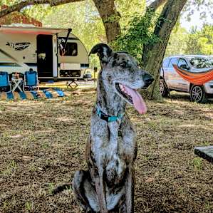 4R Ranch Vineyards & Winery Camping