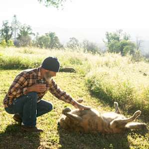 Good dogs get good belly rubs