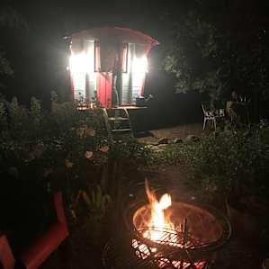 Fire pit lit. Peacocks singing in the trees . She said get the wine and glasses...look at the Stars ! 😘