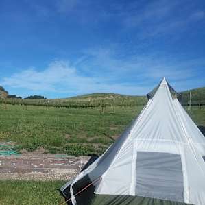 ... another side of camp with a vineyard view!