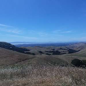 View from One Tree Hill... worth the hike!