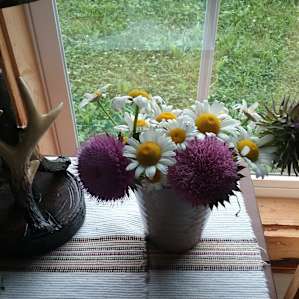 Beautiful wildflowers!