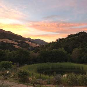 Sunrise from the front door
