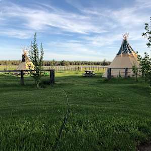 Tepees for rent