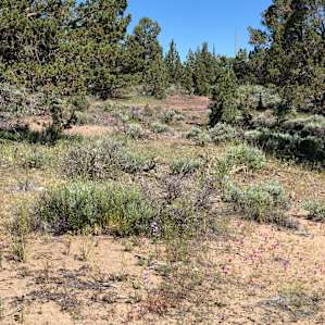 BLM land adjacent to Alan’s ranch, great mountain biking