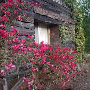 the guest house