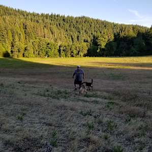 In the large meadow
