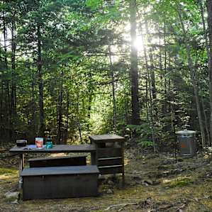 Sun trickling in through the trees on an absolutely gorgeous afternoon!
