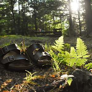 Steve's property is the perfect place to escape to, kick your shoes off, and soak up some nature.