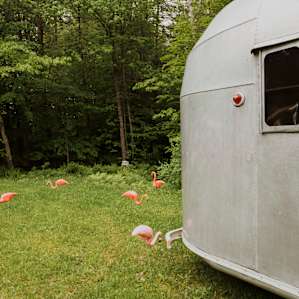 Little plastic flamingo friends.