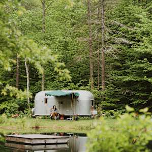 Swimming dock and camper tucked in the woods.